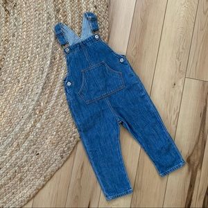Zara denim overalls